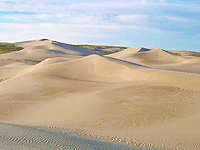 Killpecker Dunes